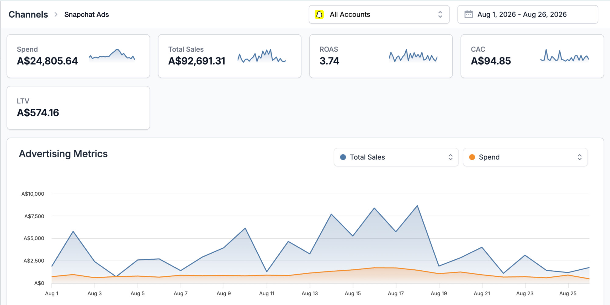 ThoughtMetric Snapchat Ads Campaign Performance Screenshot